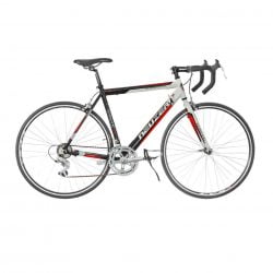 Bicicleta Neuzer de sosea, Whirlwind Basic 28"